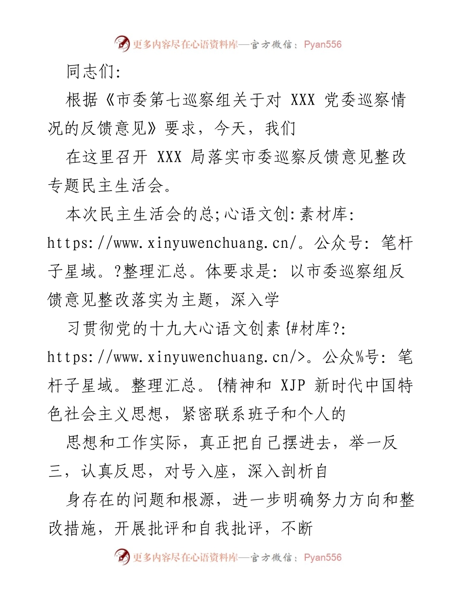 [民主生活会] 政治整改 - 深入剖析，落实巡察反馈，推动乡村振兴.docx_第1页