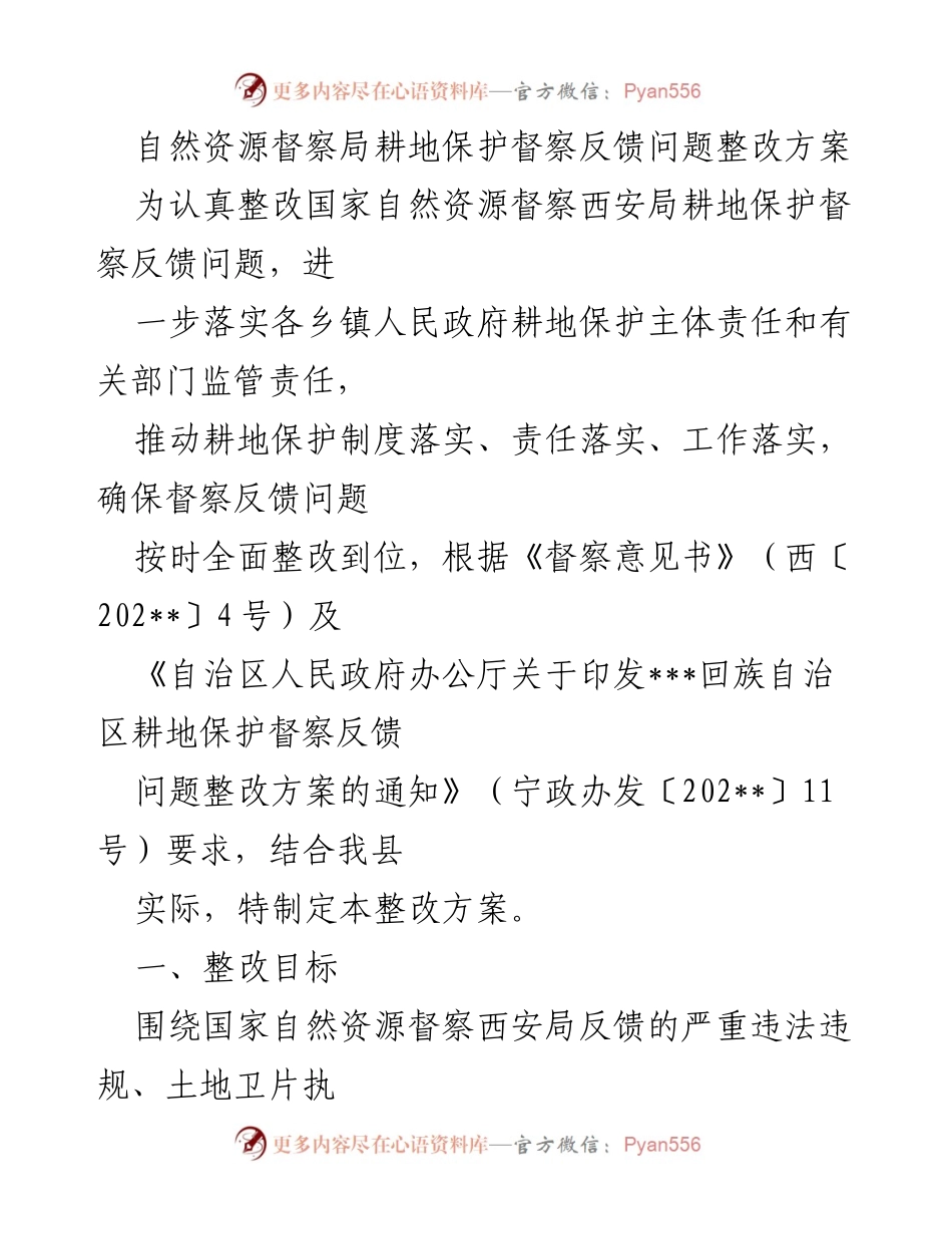 [整改方案] 自然资源督察 - 耕地保护督察反馈问题整改方案.docx_第1页