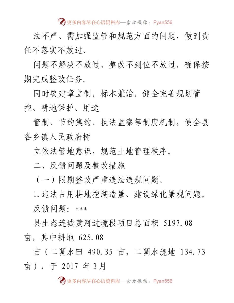 [整改方案] 自然资源督察 - 耕地保护督察反馈问题整改方案.docx_第2页