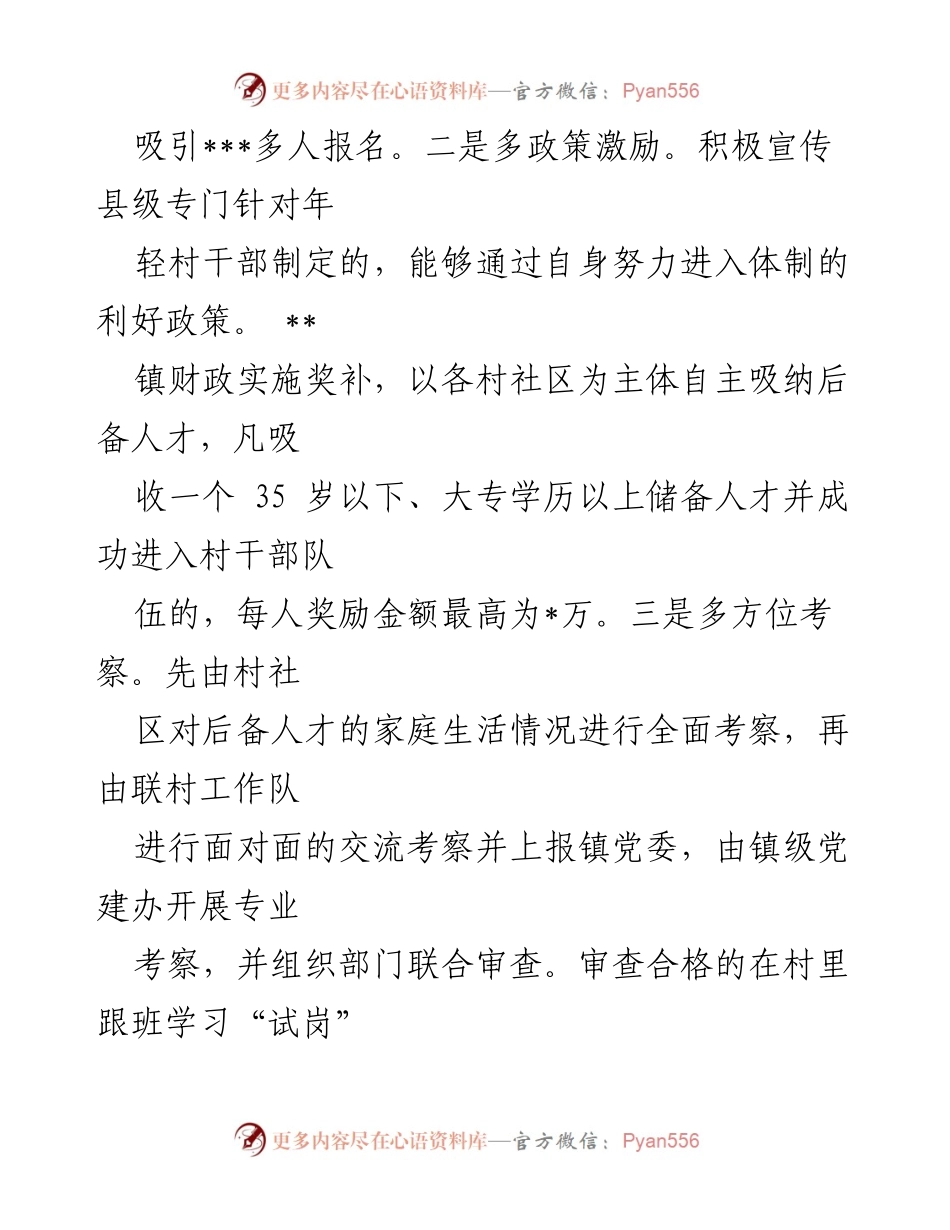[经验材料] 乡村振兴 - “三管齐下”建设村级后备人才队伍.docx_第2页