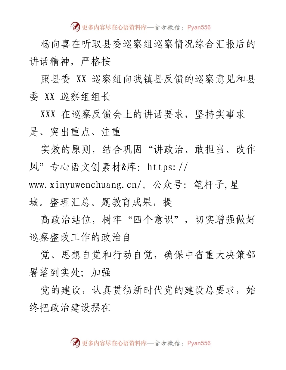 [整改方案] 乡镇党委 - 乡镇党委巡察整改方案落实措施.docx_第2页