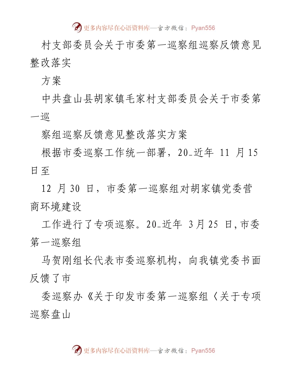 [整改方案] 村支部委员会 - 关于市委巡察组反馈意见的整改落实方案.docx_第1页