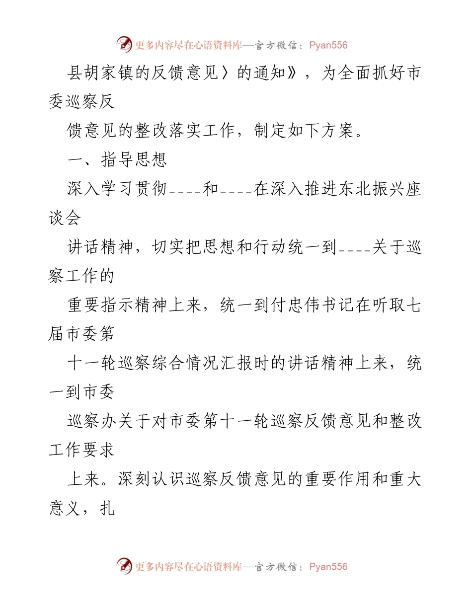[整改方案] 村支部委员会 - 关于市委巡察组反馈意见的整改落实方案.docx_第2页