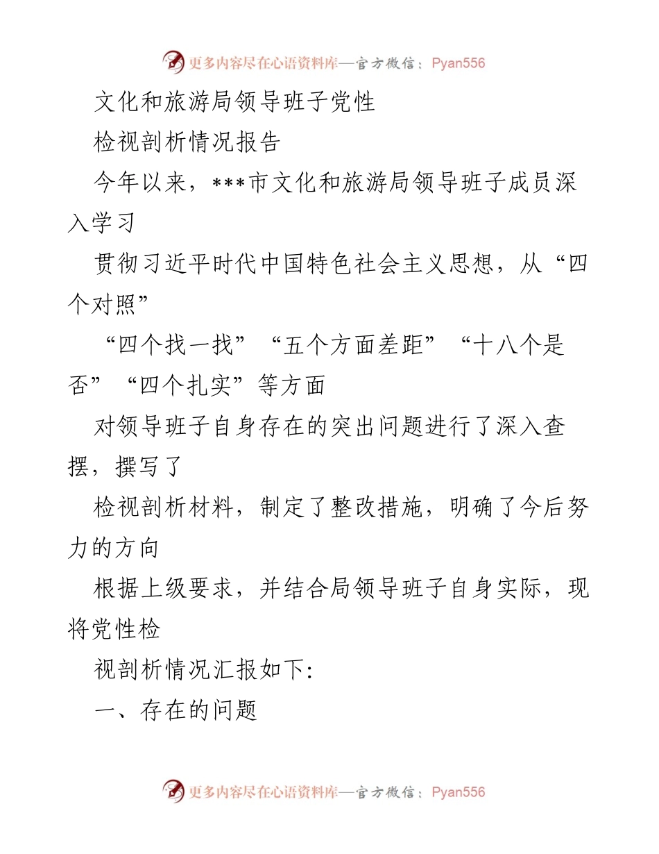 [检视报告] 文化和旅游局 - 领导班子党性检视剖析情况报告.docx_第1页