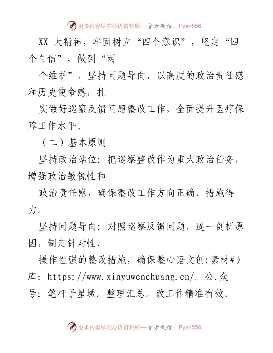 [整改方案] 医疗保障局 - X市医疗保障局巡察反馈问题整改方案.docx_第2页