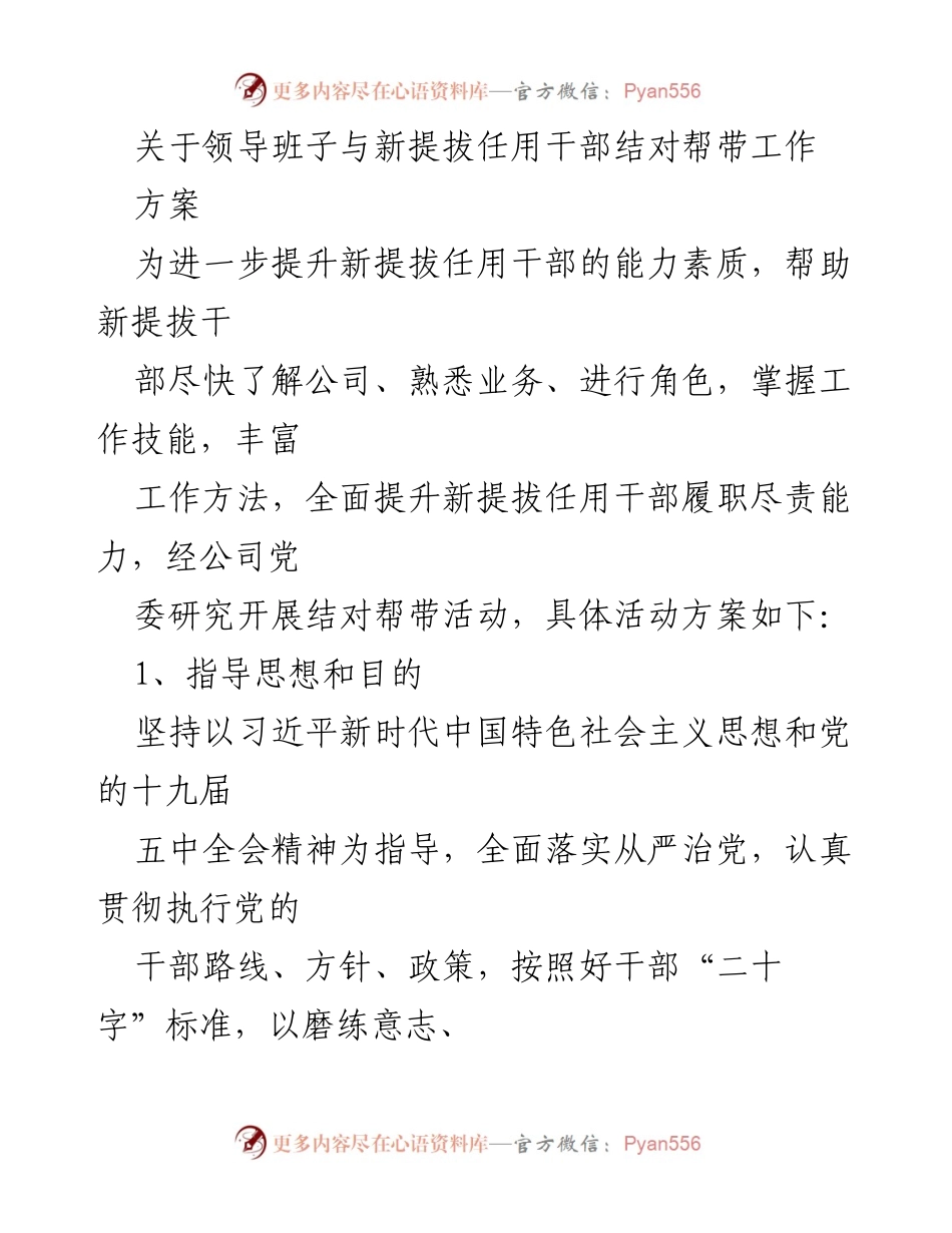 [方案] 结对帮带活动 - 提升新提拔干部素质的结对帮带工作方案.docx_第1页