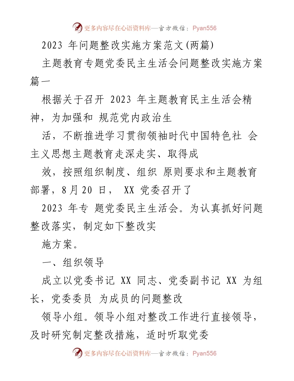 [整改方案] 主题教育民主生活会 - 2023年主题教育问题整改实施方案.docx_第1页