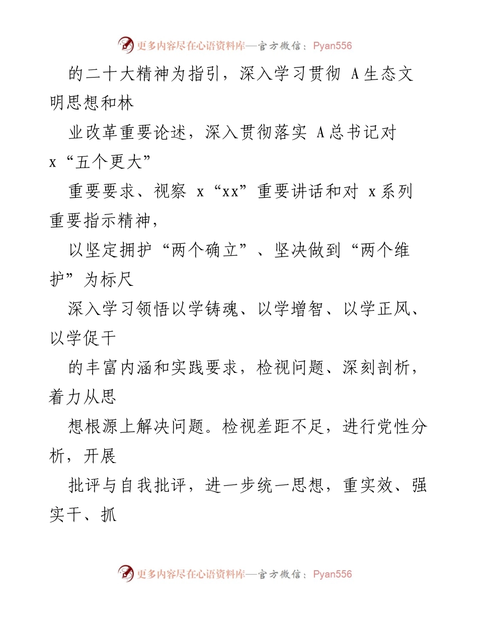 [方案] 主题教育民主生活会 - 学习贯彻 A时代中国特色社会主义思想的专题民主生活会方案.docx_第2页
