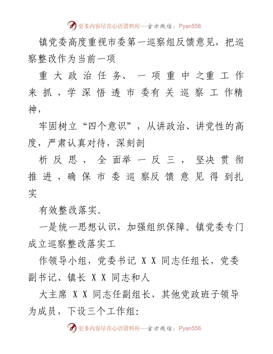 [整改报告] 市委巡察 - 巡察反馈意见整改工作总结.docx_第2页