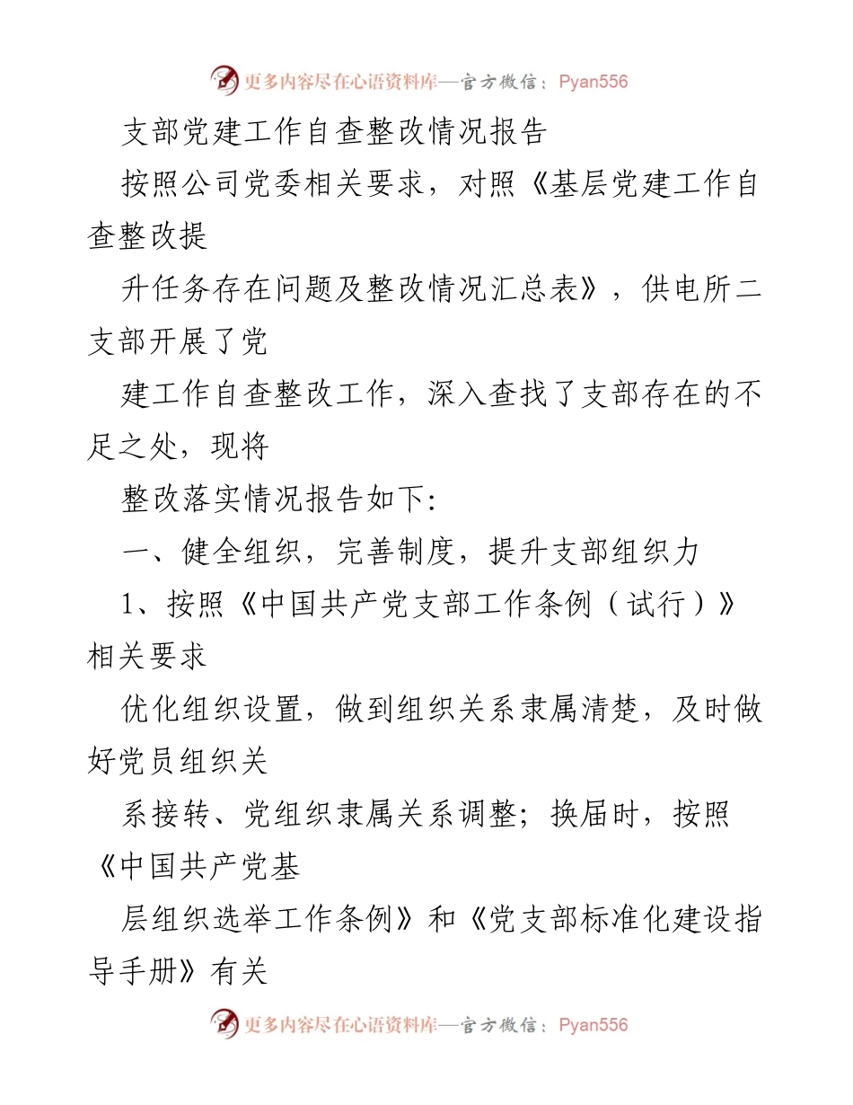 [整改报告] 供电所二支部 - 支部党建工作自查整改情况报告.docx_第1页