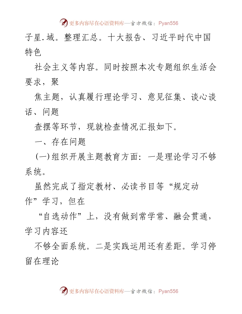 [检查材料] 主题教育专项工作 - 2024年支部班子整改检查材料汇报.docx_第2页