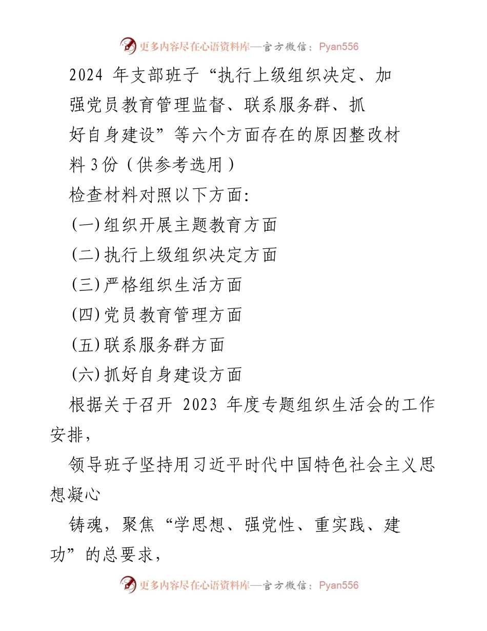 [整改材料] 组织生活会 - 2024年支部班子整改措施汇报_1.docx_第1页