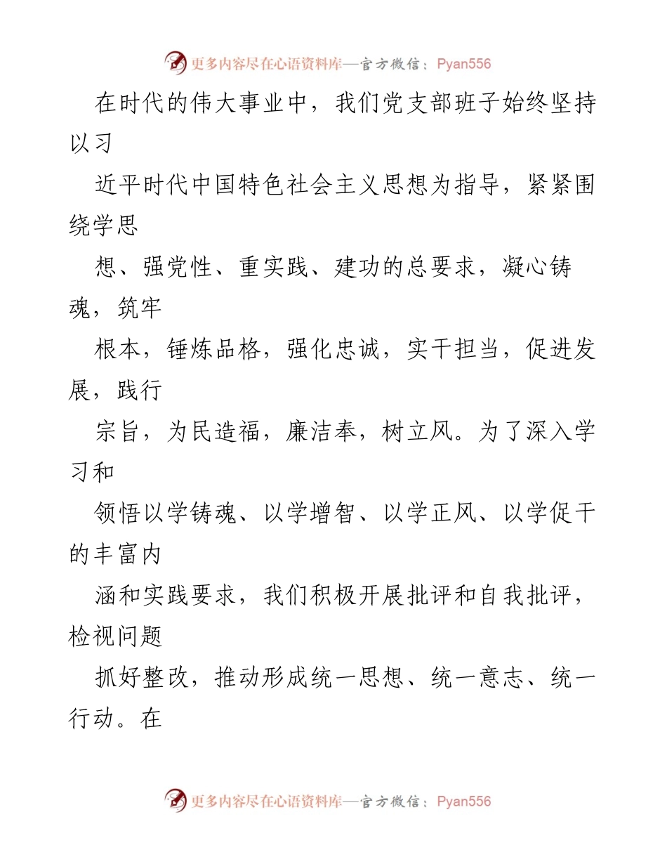 [整改报告] 党支部工作 - 2024年党支部班子整改对照检查材料分析与总结.docx_第2页