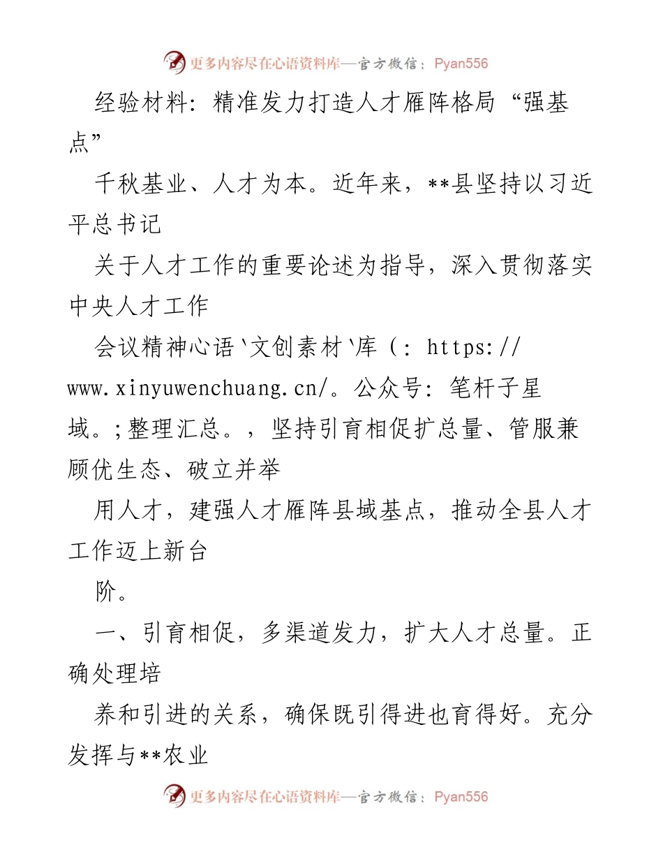 [经验材料] 人才工作会议 - 精准发力，构建人才雁阵格局.docx_第1页