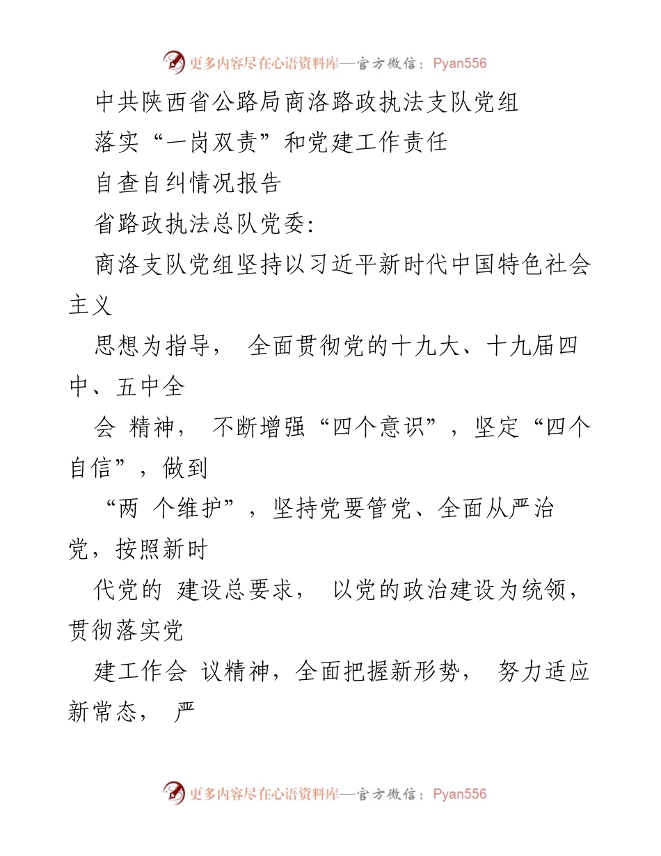 [自查报告] 党建工作 - 商洛路政执法支队党建工作责任落实自查自纠情况报告.docx_第1页