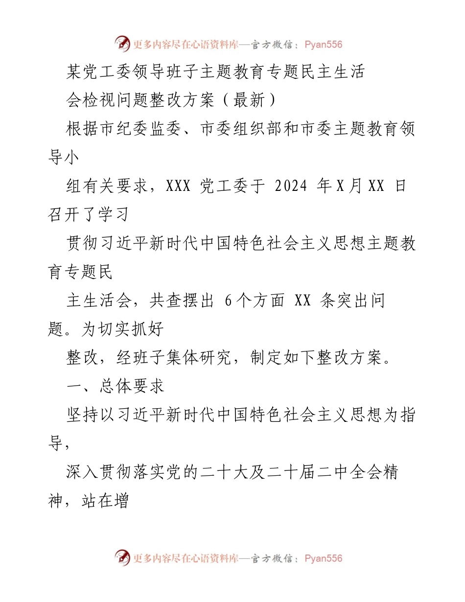 [整改方案] 党工委民主生活会 - 主题教育整改方案实施细则.docx_第1页