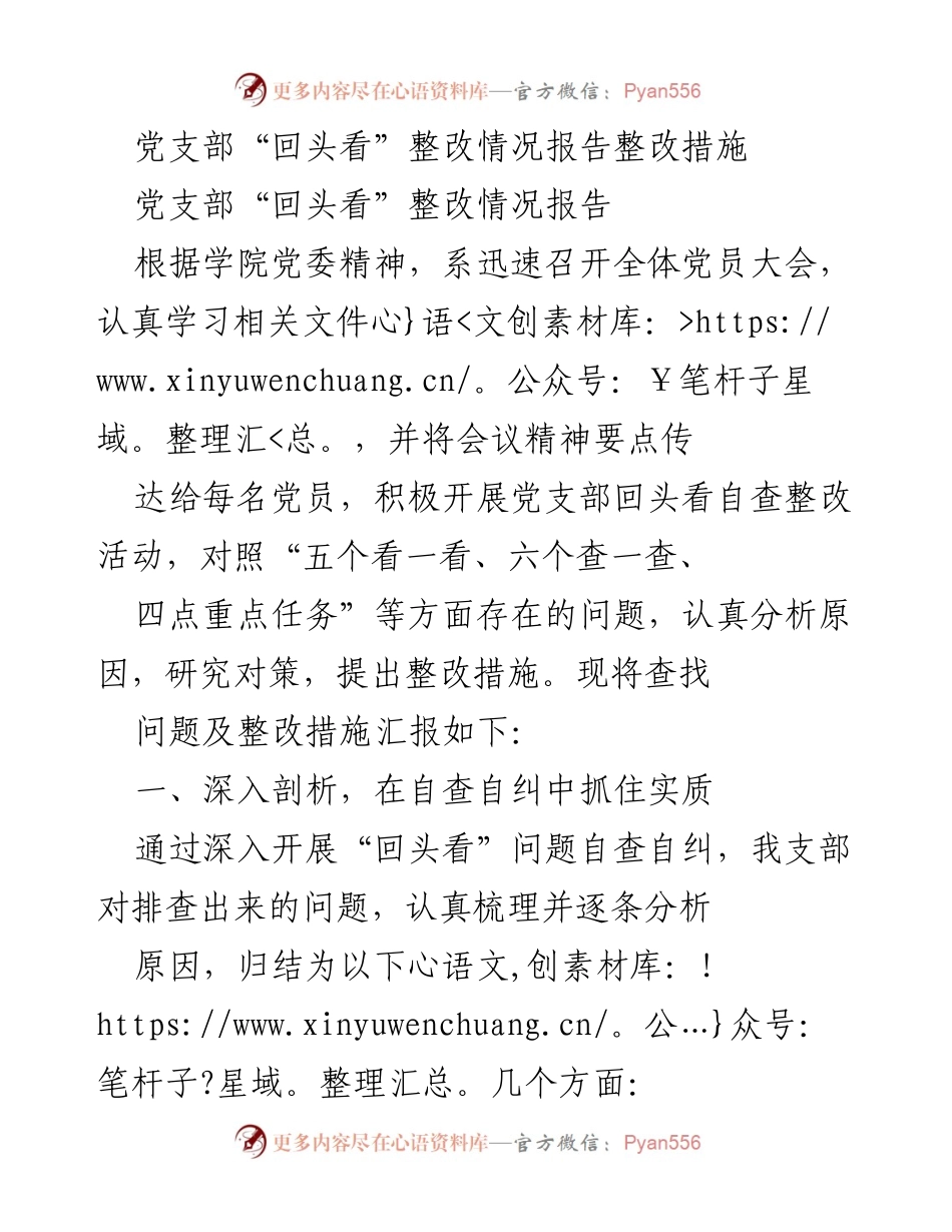[整改报告] 党支部会议 - 党支部“回头看”整改情况及措施报告.docx_第1页