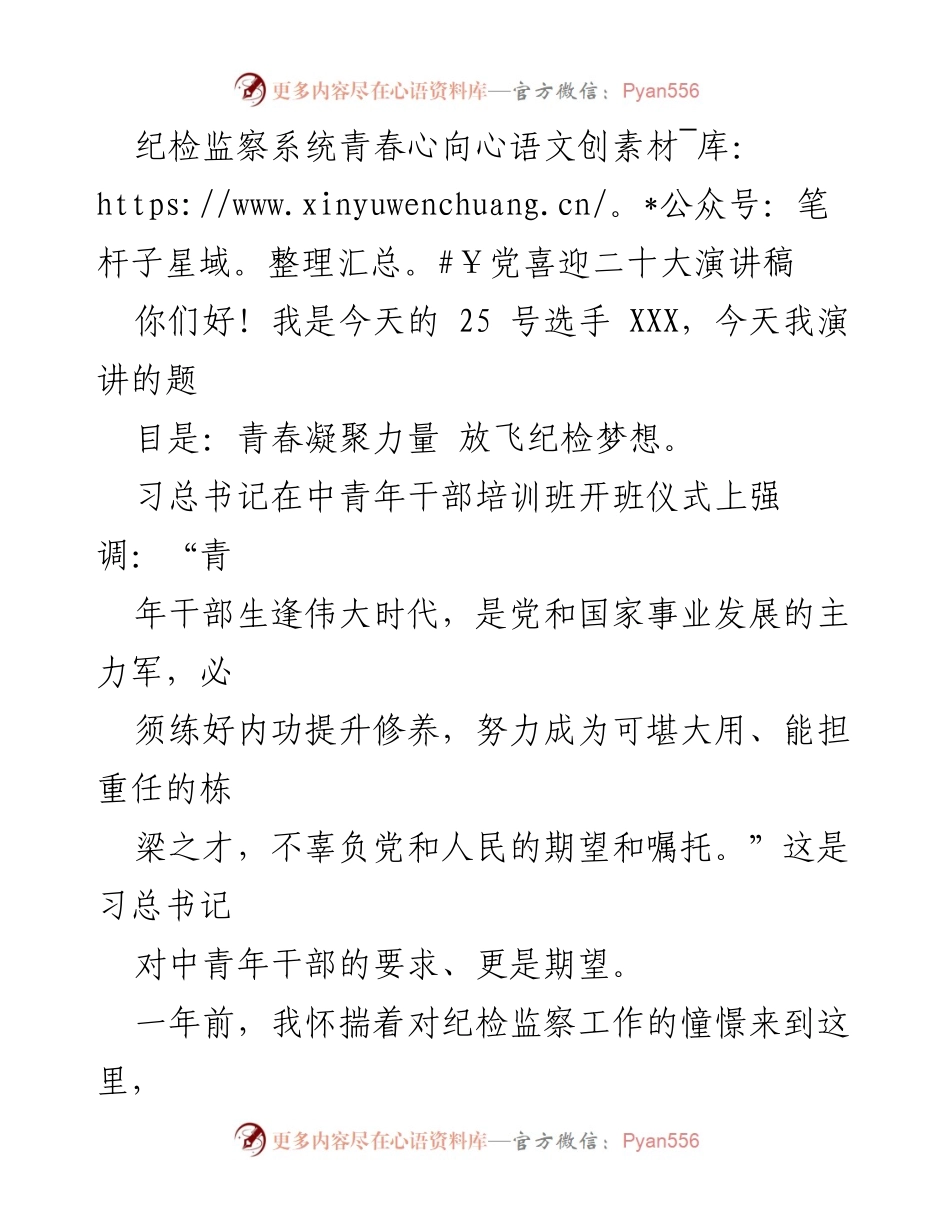 [演讲稿] 纪检监察系统 - 青春凝聚力量 放飞纪检梦想_1.docx_第1页