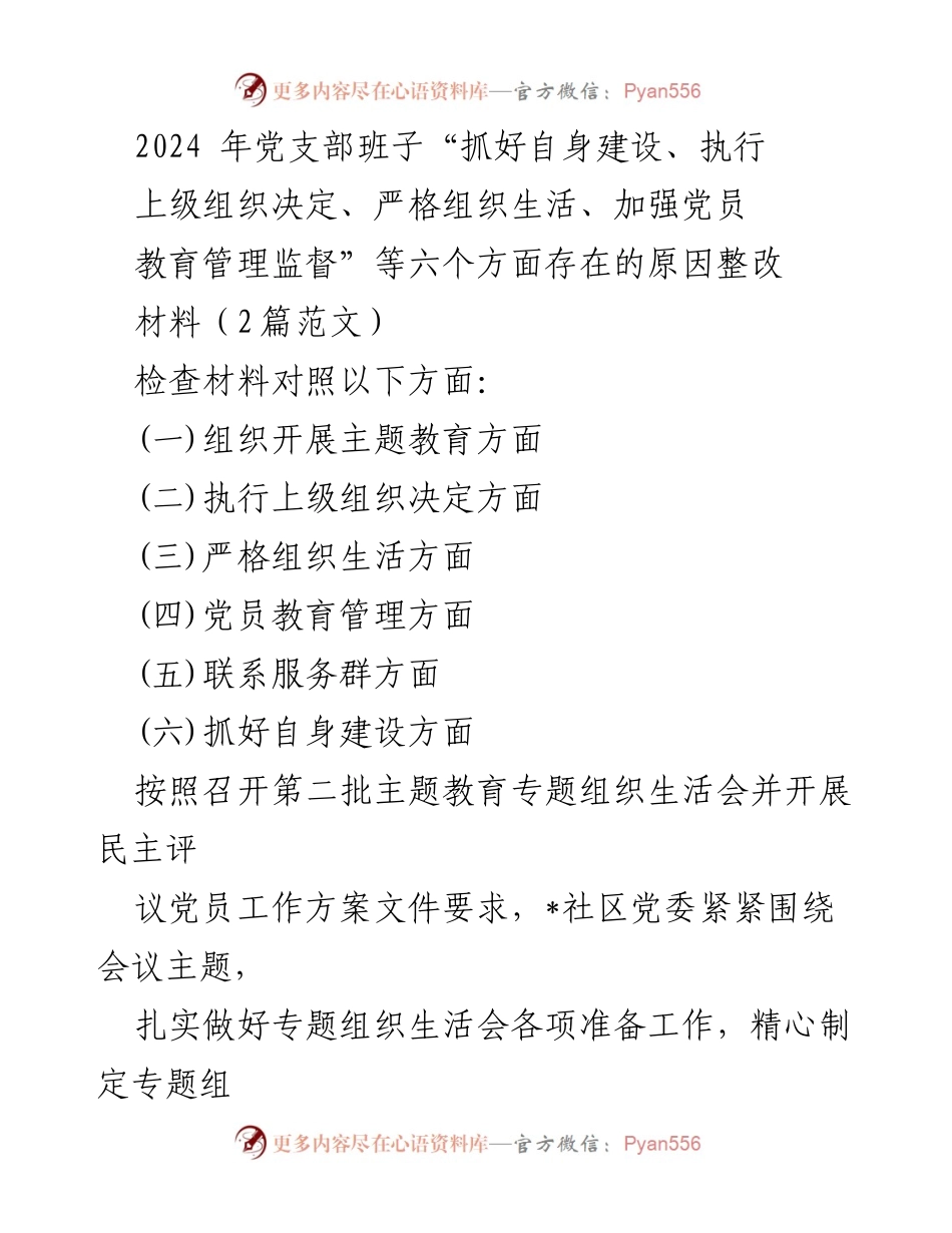 [整改材料] 党支部专题组织生活会 - 2024年党支部班子整改措施汇报_1.docx_第1页