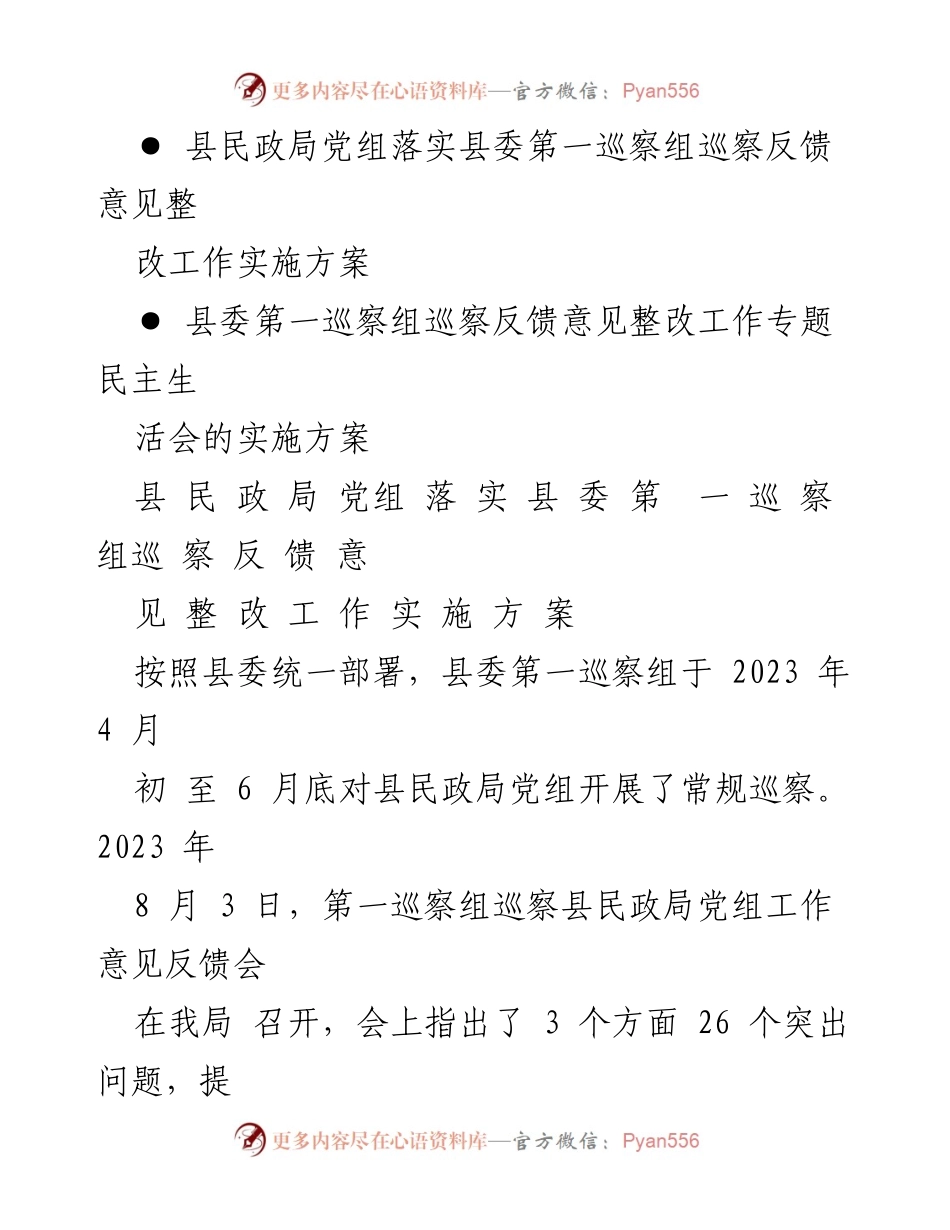 [整改方案] 民政局党组 - 巡察反馈意见整改工作实施方案.docx_第1页