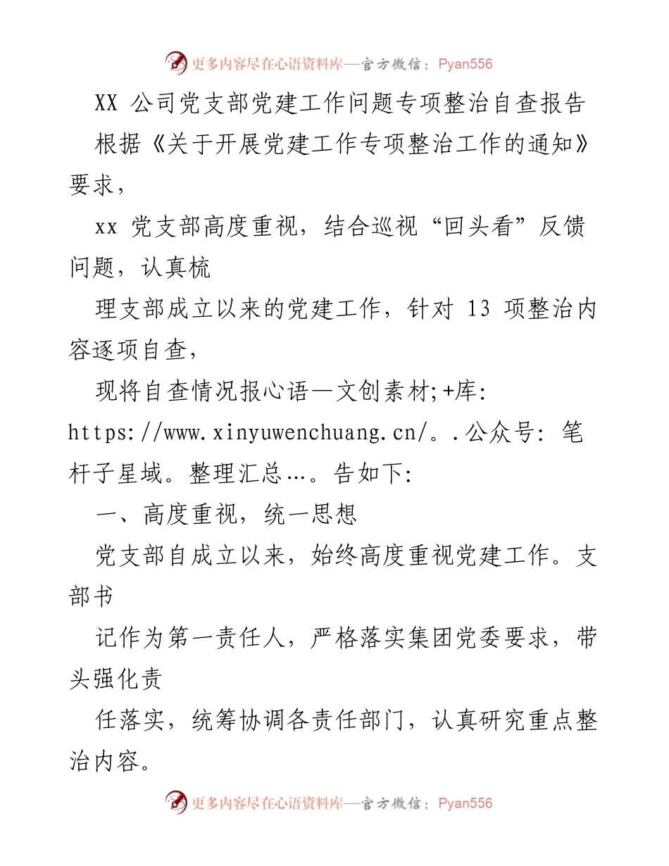 [自查报告] 党支部整改 - XX公司党建工作专项整治自查报告.docx_第1页