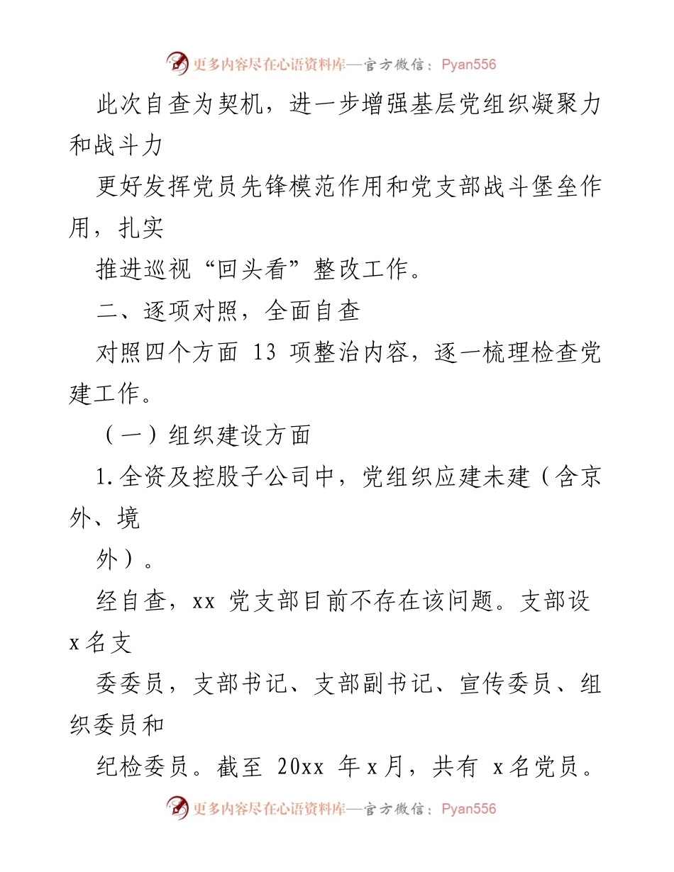 [自查报告] 党支部整改 - XX公司党建工作专项整治自查报告.docx_第2页