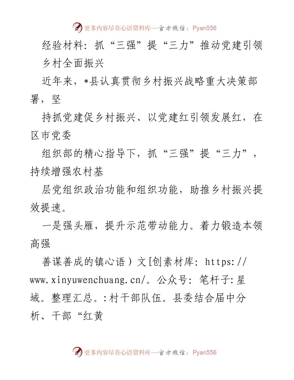 [经验材料] 乡村振兴 - 抓党建促乡村振兴，提升乡村发展动力.docx_第1页