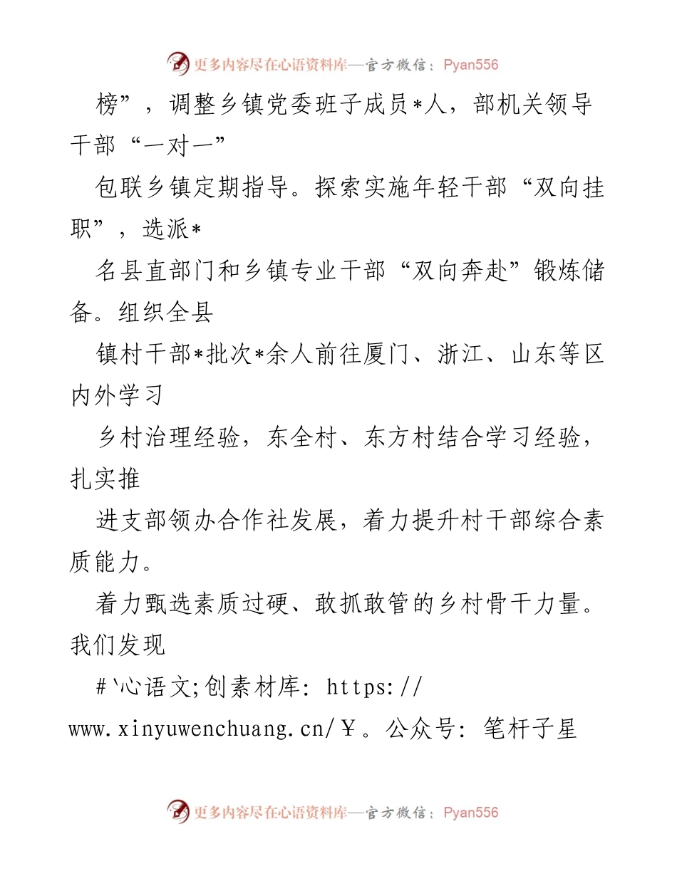 [经验材料] 乡村振兴 - 抓党建促乡村振兴，提升乡村发展动力.docx_第2页