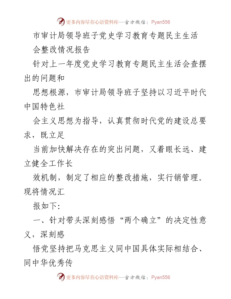 [整改报告] 市审计局 - 市审计局党史学习教育专题民主生活会整改情况报告.docx_第1页