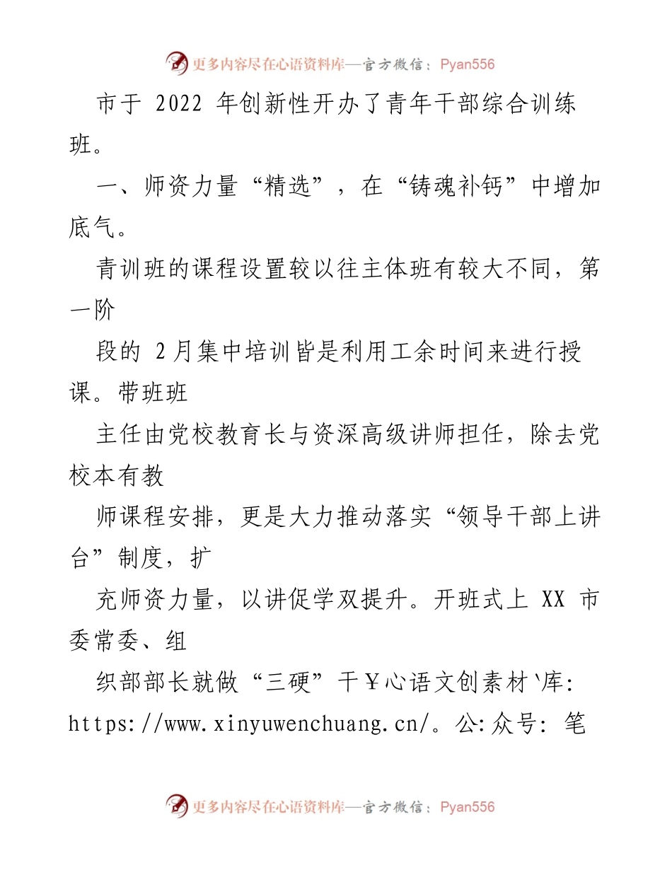 [经验材料] 培训总结 - 提振年轻干部的“四个精”培养机制.docx_第2页