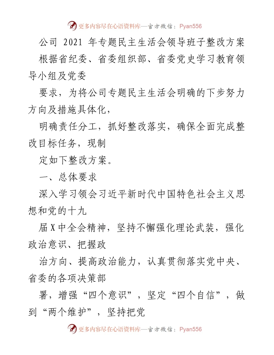 [整改方案] 专题民主生活会 - 公司领导班子整改方案实施细则.docx_第1页