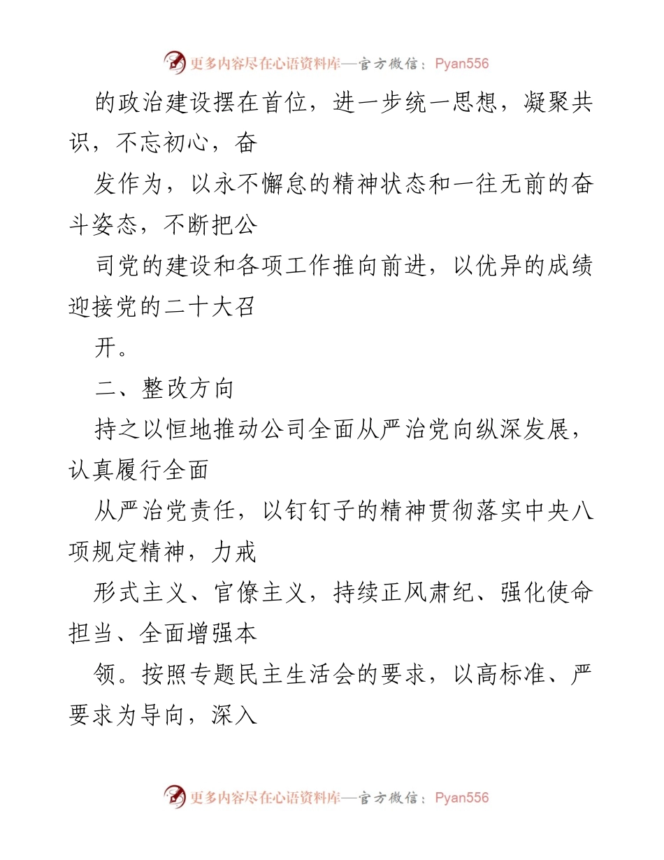 [整改方案] 专题民主生活会 - 公司领导班子整改方案实施细则.docx_第2页