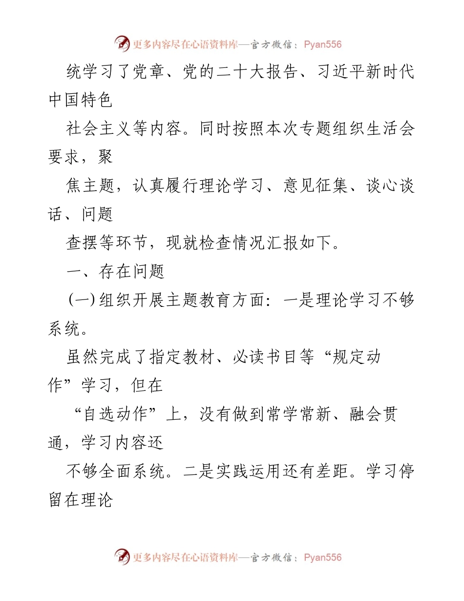 [整改材料] 党支部 - 2024年支部班子整改措施汇报.docx_第2页
