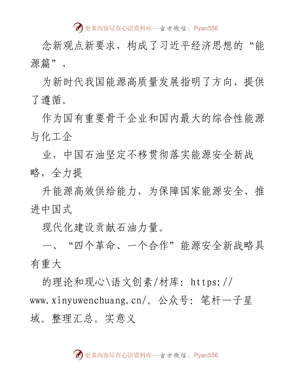 [经验交流材料] 能源安全研讨会 - 提升能源高效供给能力的战略思考.docx_第2页