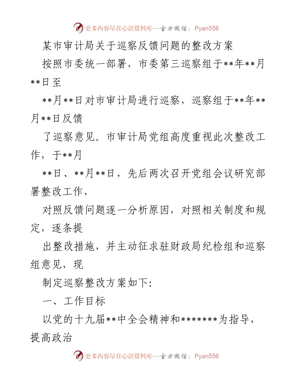 [整改方案] 巡察反馈 - 市审计局巡察反馈问题整改方案.docx_第1页