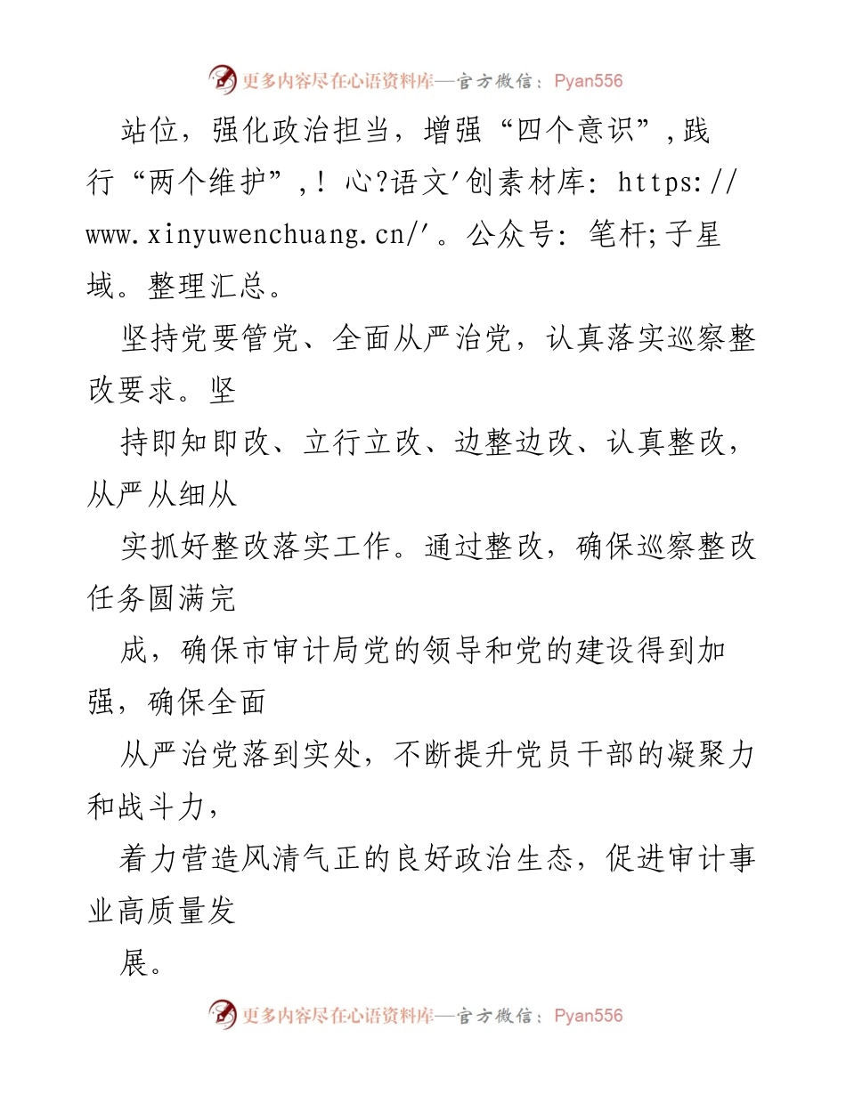 [整改方案] 巡察反馈 - 市审计局巡察反馈问题整改方案.docx_第2页