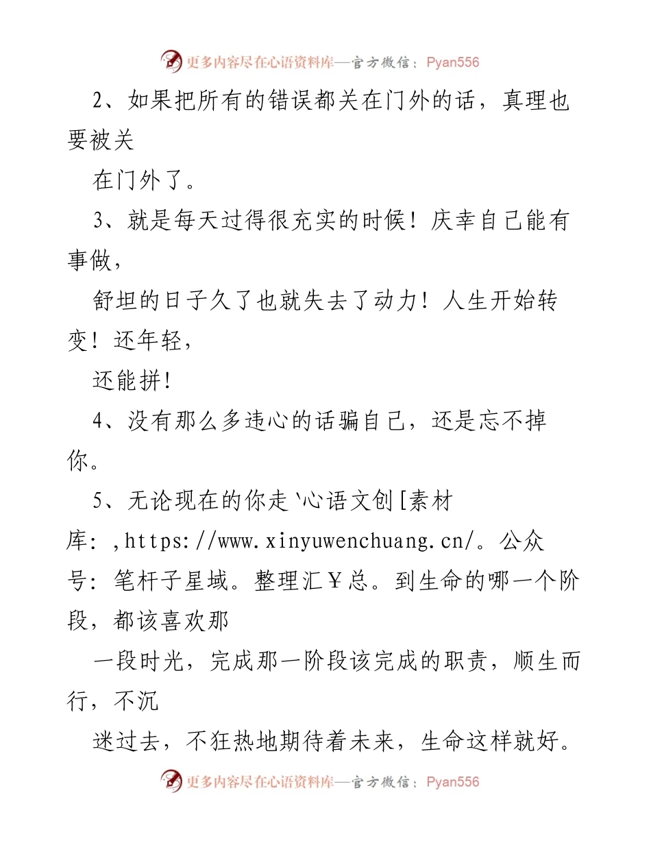 [文案集] 生活感悟 - 忙碌而充实的生活哲学.docx_第2页