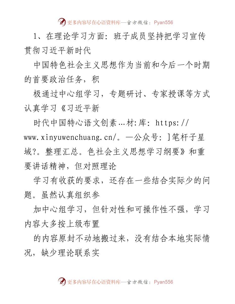 [整改报告] 主题教育 - 班子成员主题教育问题清单检视整改报告.docx_第2页