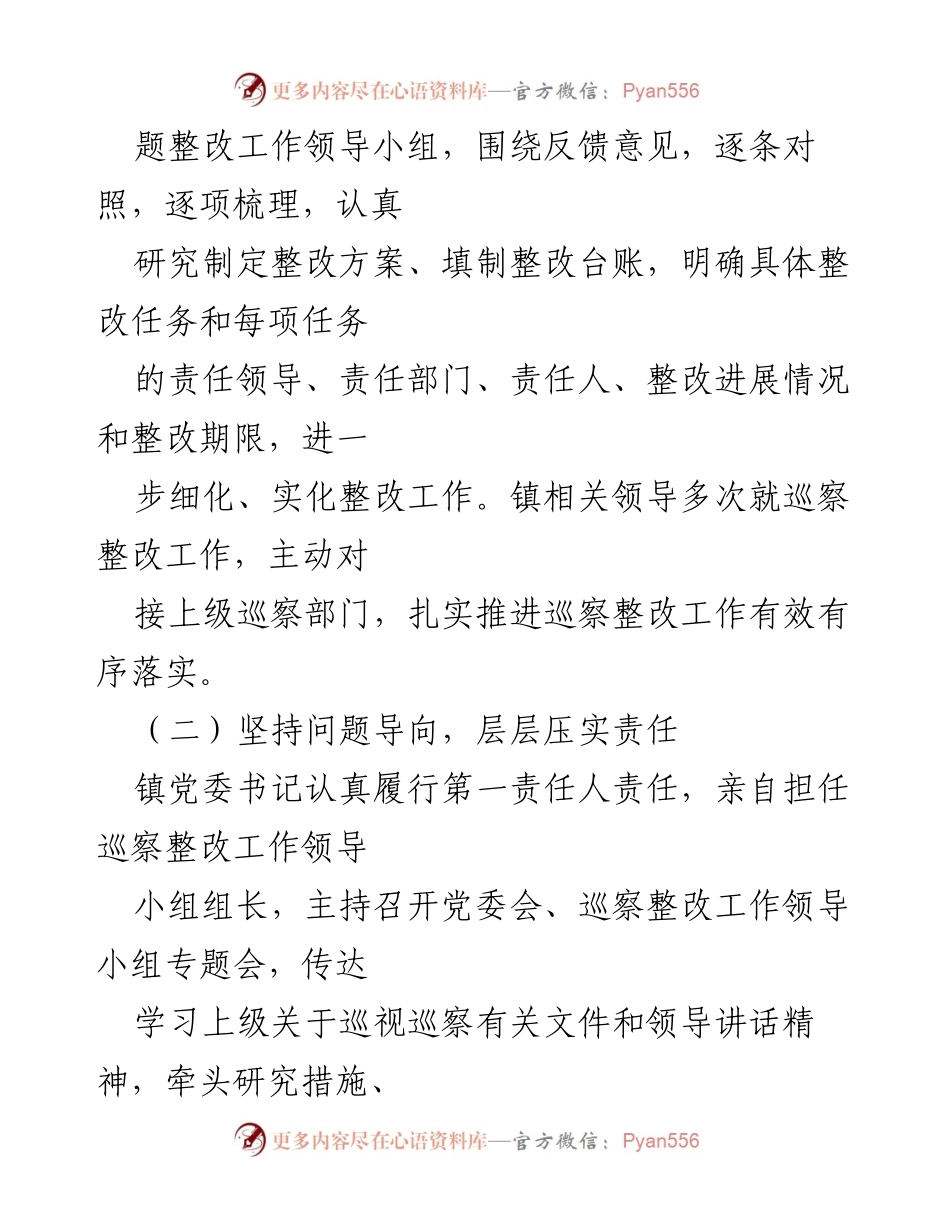 [整改报告] 巡察工作 - 2024乡镇巡察整改工作总结报告.docx_第2页