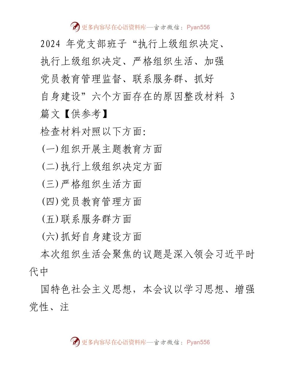 [整改材料] 党支部组织生活会 - 2024年党支部班子整改问题与措施分析.docx_第1页
