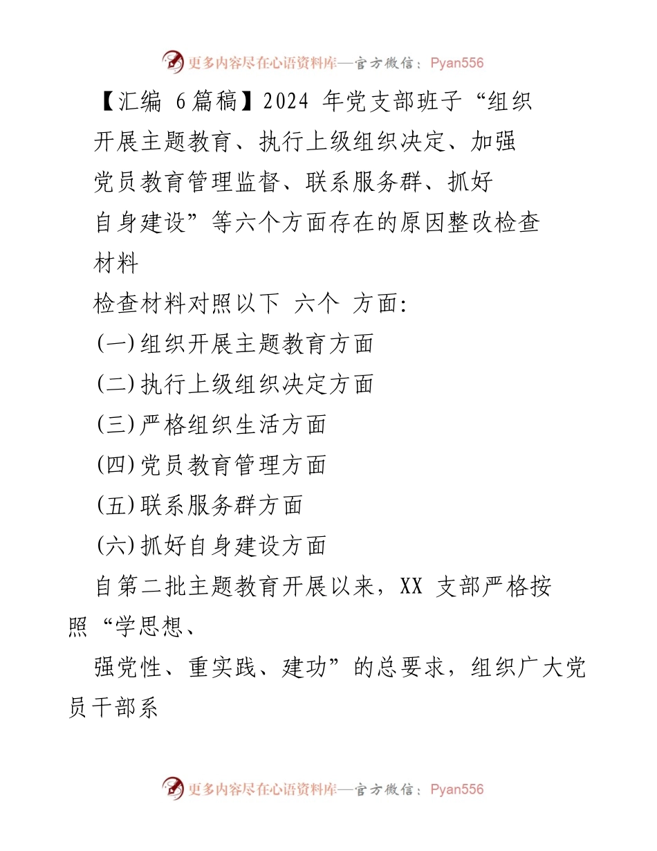 [检查材料] 党支部会议 - 2024年党支部班子整改检查材料分析.docx_第1页