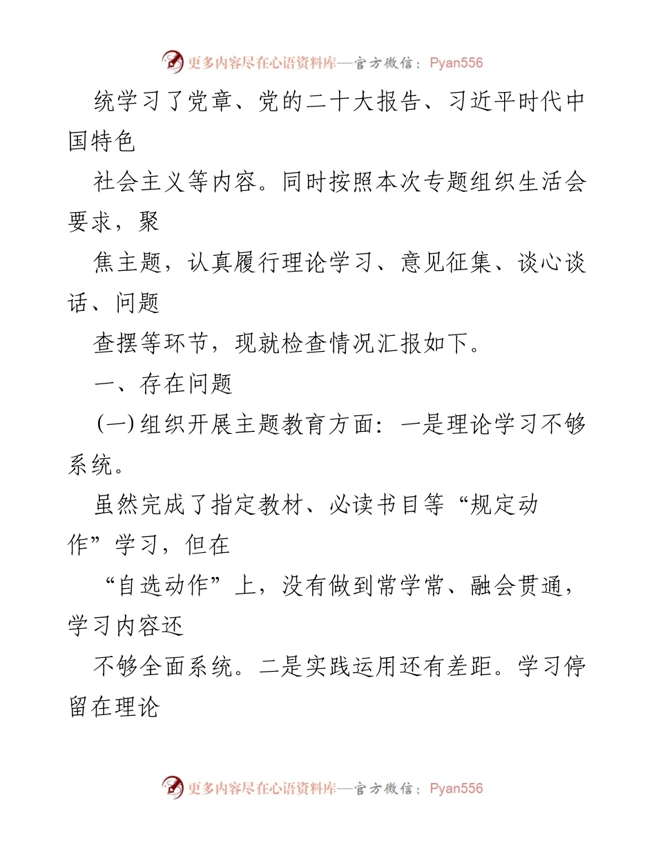 [检查材料] 党支部会议 - 2024年党支部班子整改检查材料分析.docx_第2页