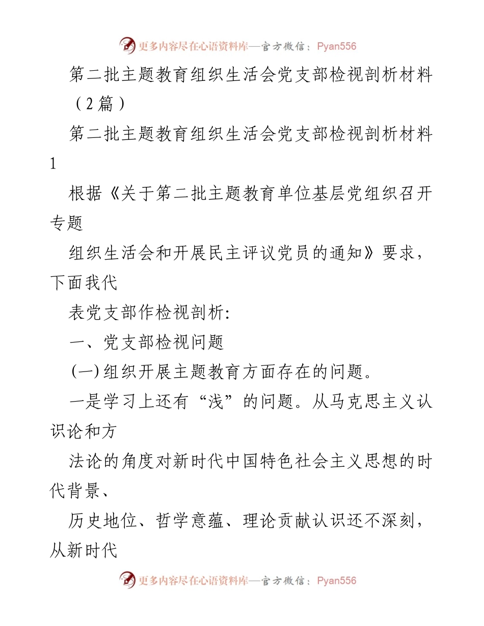 [检视剖析材料] 党支部组织生活会 - 第二批主题教育检视问题分析.docx_第1页