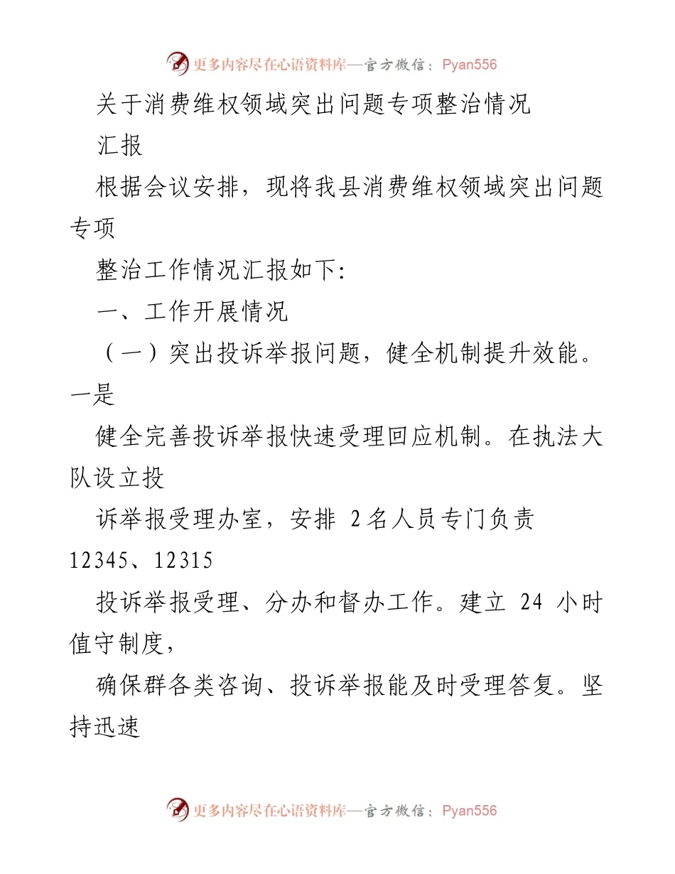 [汇报] 会议 - 消费维权领域突出问题专项整治工作汇报.docx_第1页