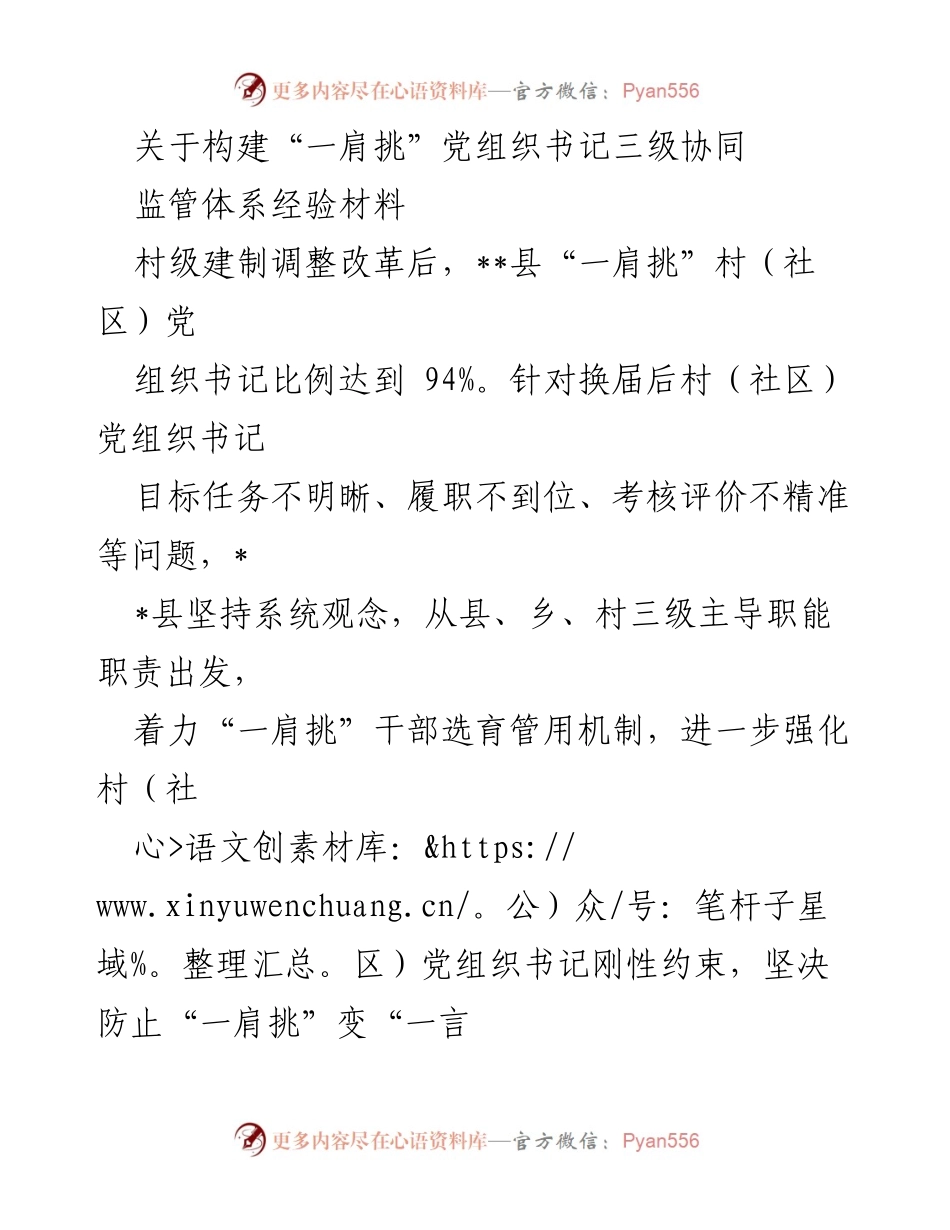 [经验材料] 党建工作 - 构建“一肩挑”党组织书记三级协同监管体系经验分享.docx_第1页