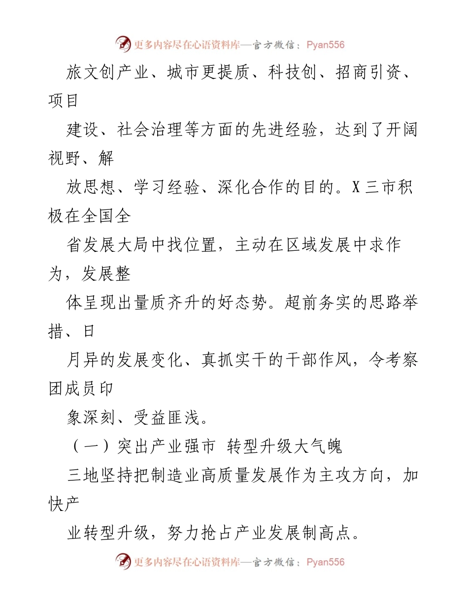 [考察报告] 市党政考察 - 市党政考察团赴三市学习先进经验总结.docx_第2页