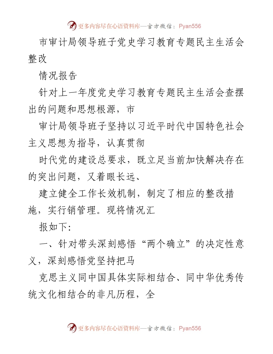 [整改情况报告] 市审计局 - 市审计局党史学习教育专题民主生活会整改情况汇报.docx_第1页