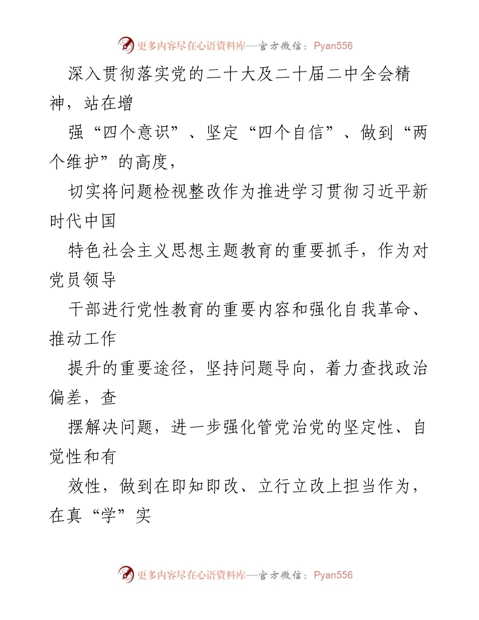 [整改方案] 主题教育民主生活会 - 2023年度问题整改实施方案.docx_第2页