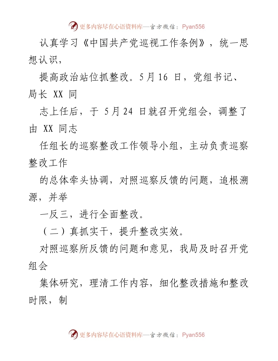 [整改报告] 巡察反馈 - XX局巡察整改情况总结报告.docx_第2页