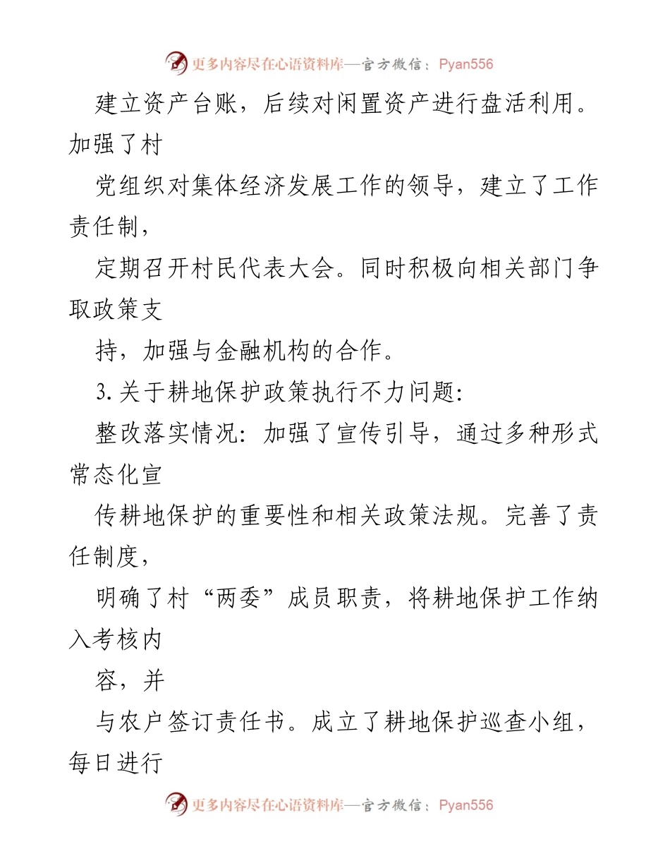 [整改报告] 村级巡察 - XX村巡察反馈整改落实情况总结.docx_第2页
